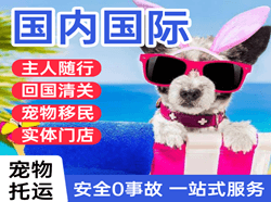 南京禄口航空物流国际宠物托运 【国
